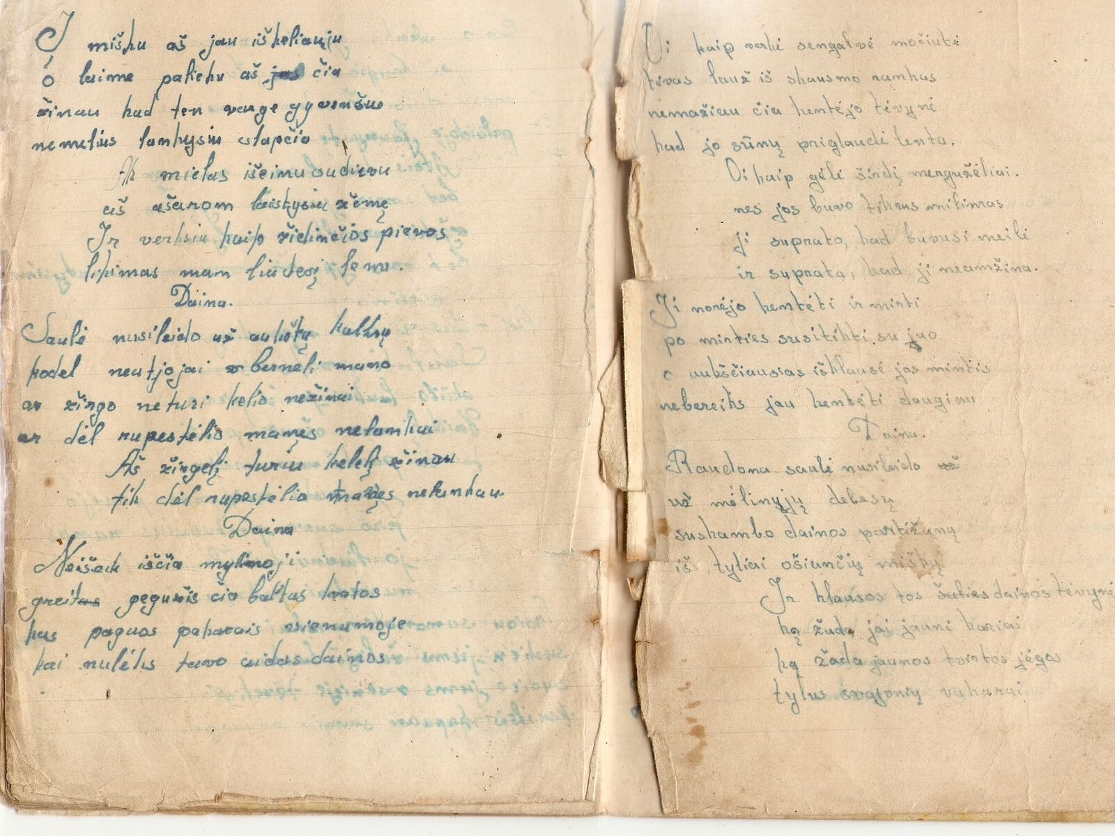 Irena Varnienė. Poezija- Dianos Glemžaitės sielos veidrodis